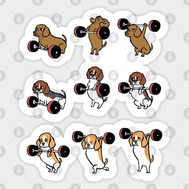 Olympic Lifting Beagles Sticker by huebucket